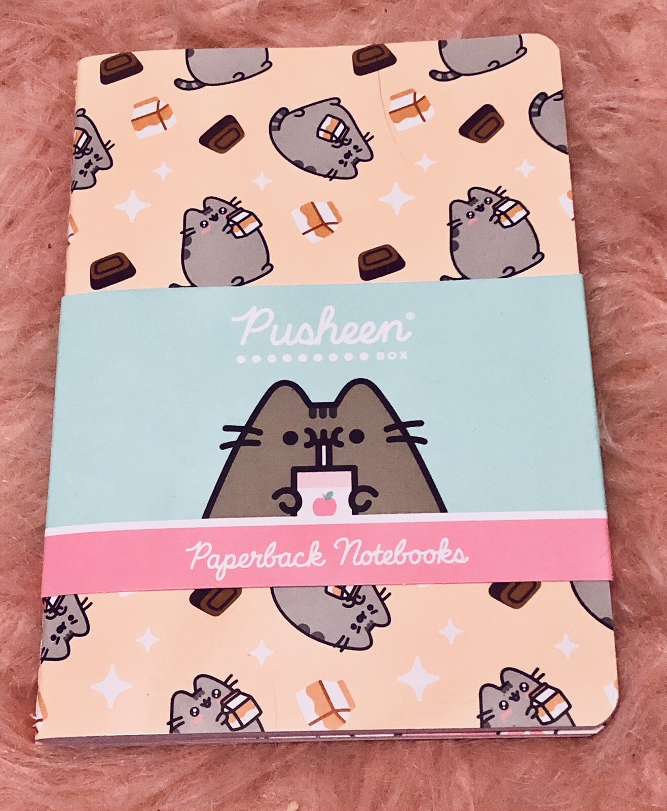 Pusheen 2 PAPERBACK NOTEBOOKS SET Box Exclusive Journal Milk Cat Theme NEW 