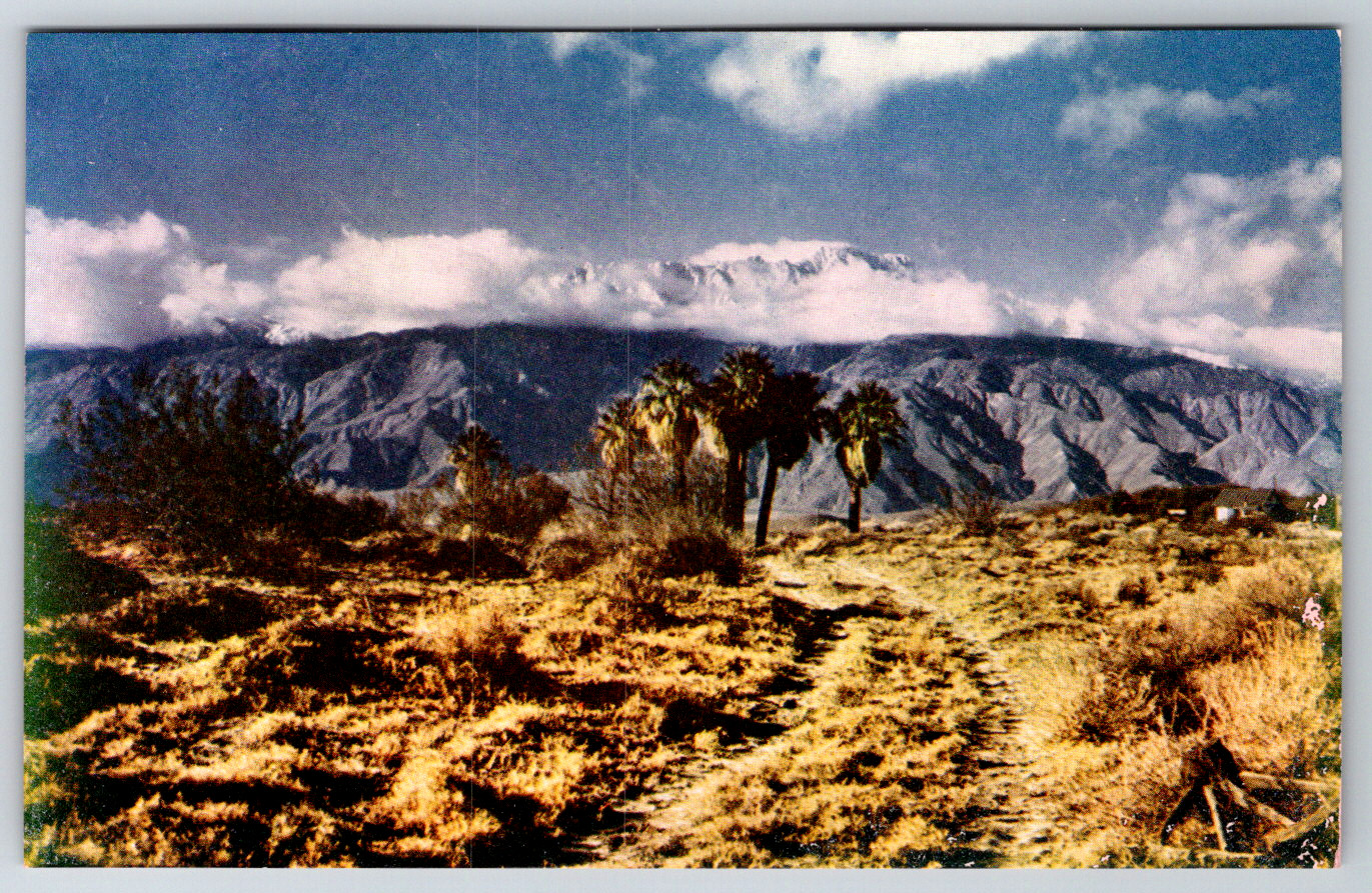 c1960s Seven Palms Palm Springs Coachella Valley California Postcard c1960s Seven Palms Palm Springs Coachella Valley California Postcard