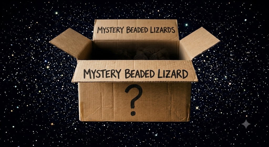 Beaded Lizard Mystery Color 4pack Beaded Lizard Mystery Color 4pack