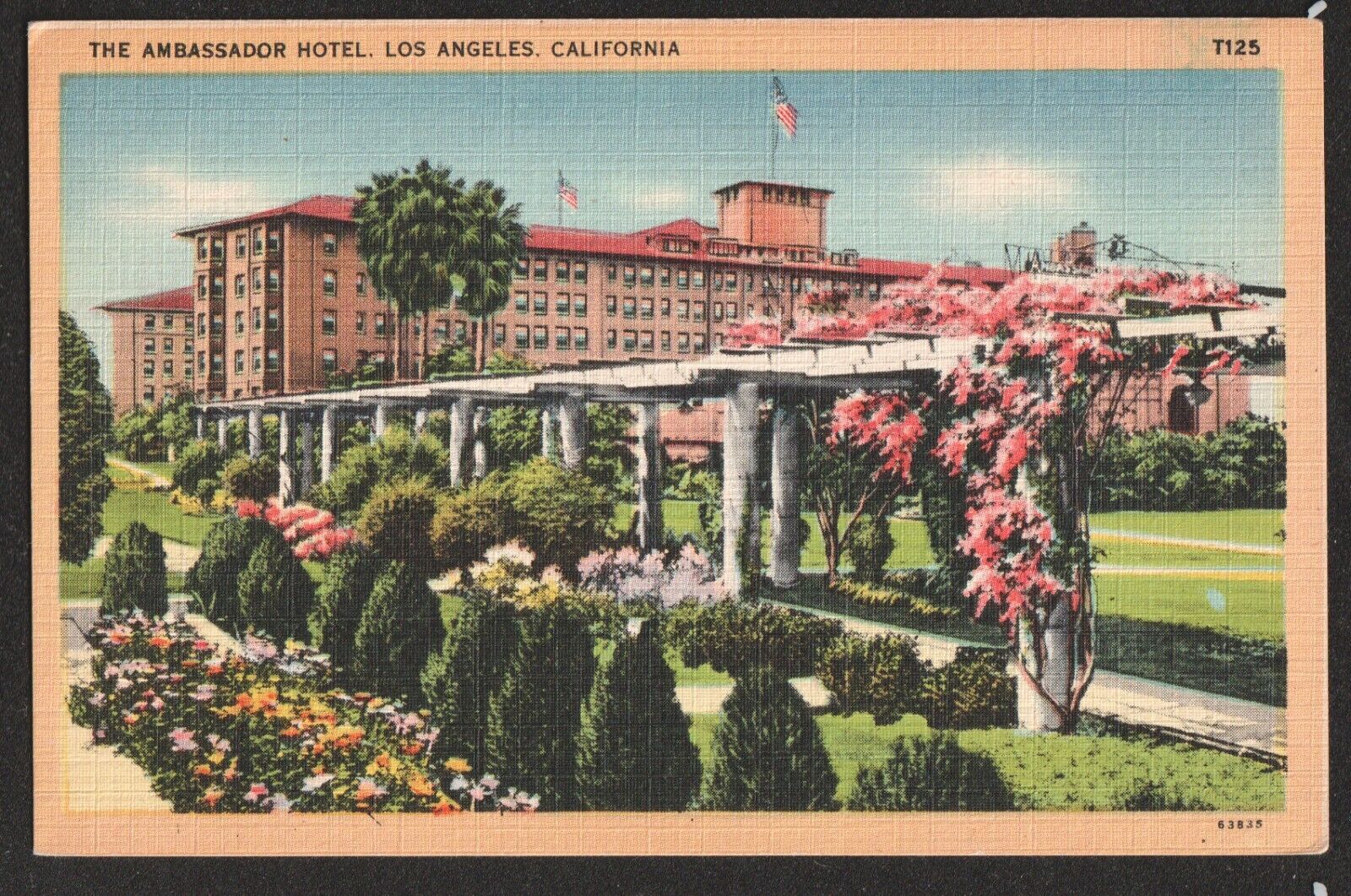 Ambassador Hotel Los Angeles c1930 Linen Postcard California Tichnor Art Company