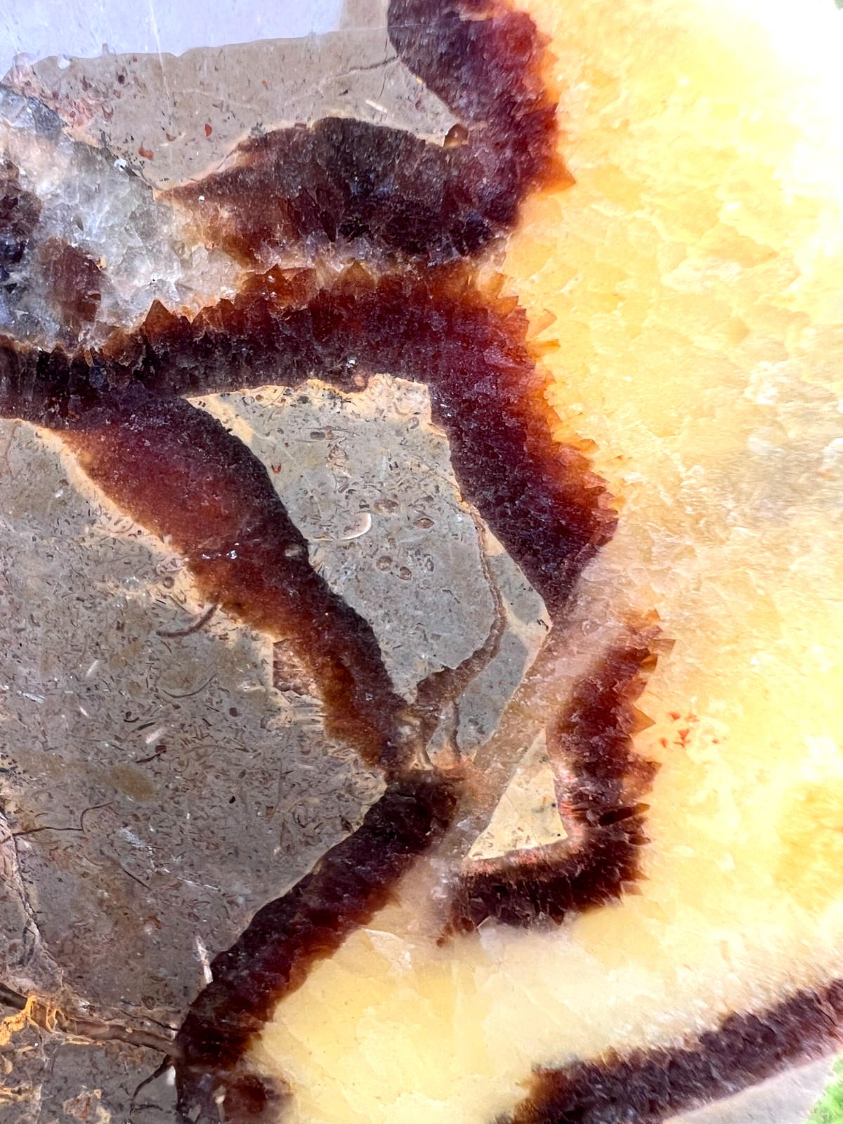 Large Septarian Nodule Slab - UV Reactive - polish, collecting, or cab - 282g Large Septarian Nodule Slab - UV Reactive - polish, collecting, or cab - 282g