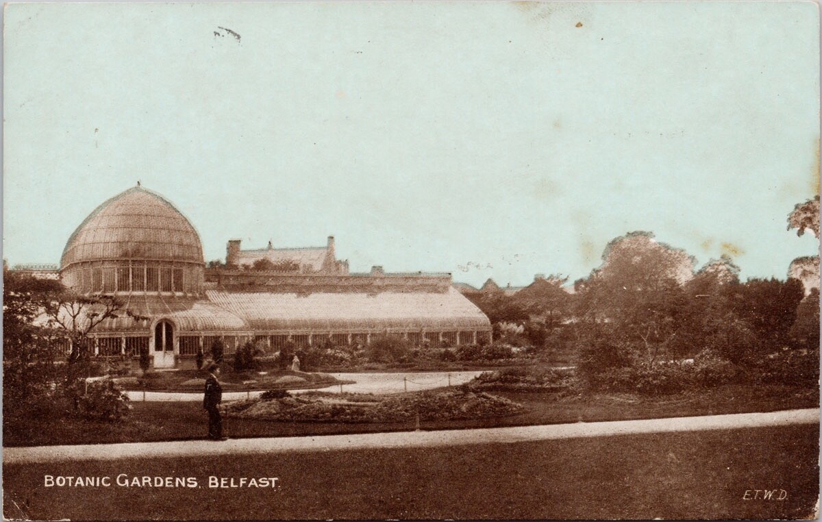 Botanic Gardens Belfast Northern Ireland c1906 Postcard H31 Botanic Gardens Belfast Northern Ireland c1906 Postcard H31
