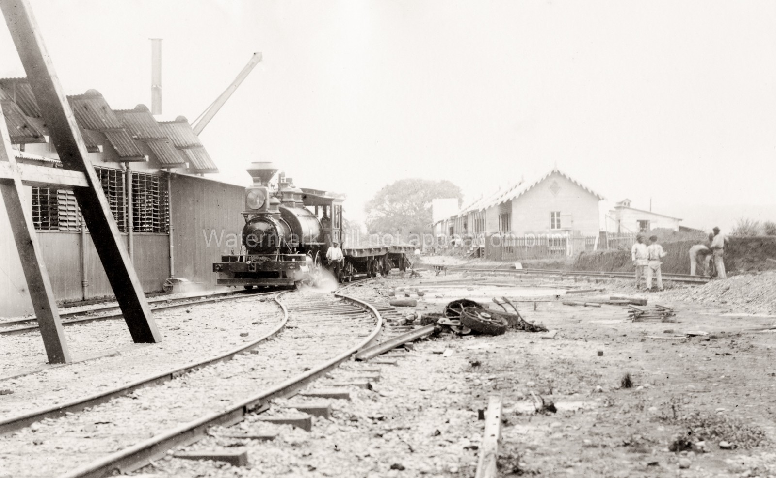 Panama Canal 1st Attempt Ferdinand de Lesseps Train Vtg. Photo 19thC.