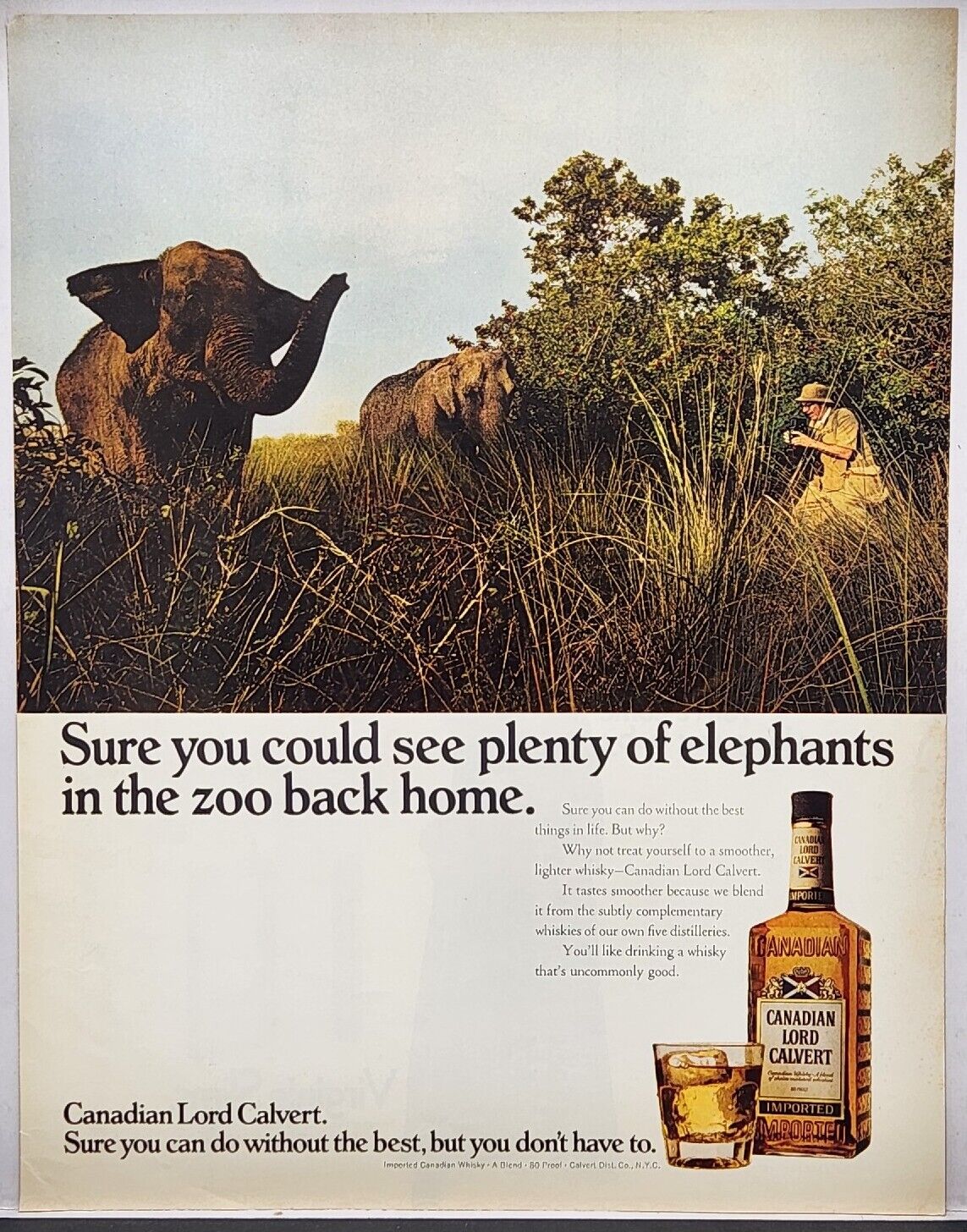 1971 Canadian Lord Calvert Extra Whiskey Safari Elephants Vintage Color Print Ad
