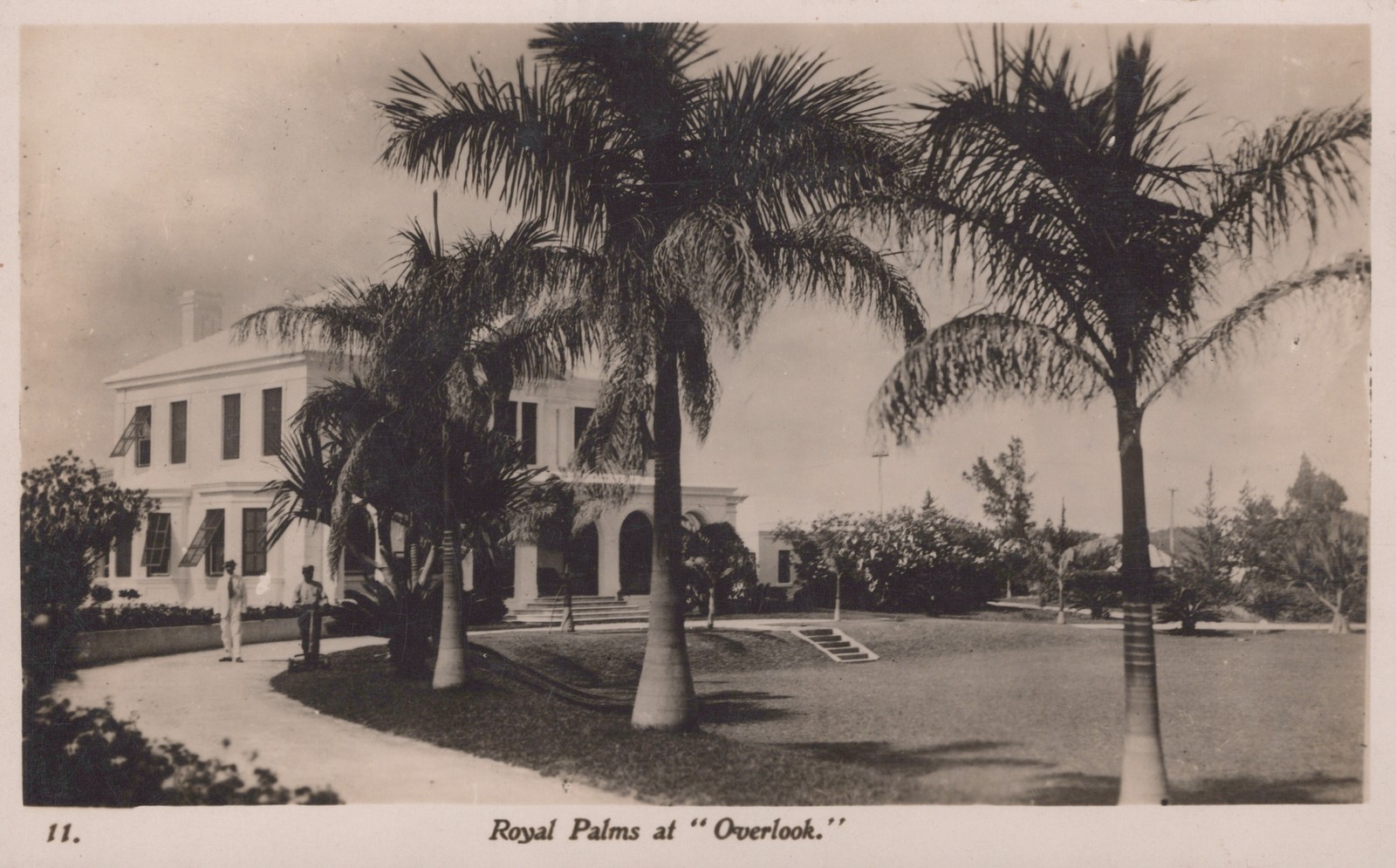 Royal Palms at Overlook Bermuda RPPC Real Photo Postcard Hamilton Hunt\'s Process