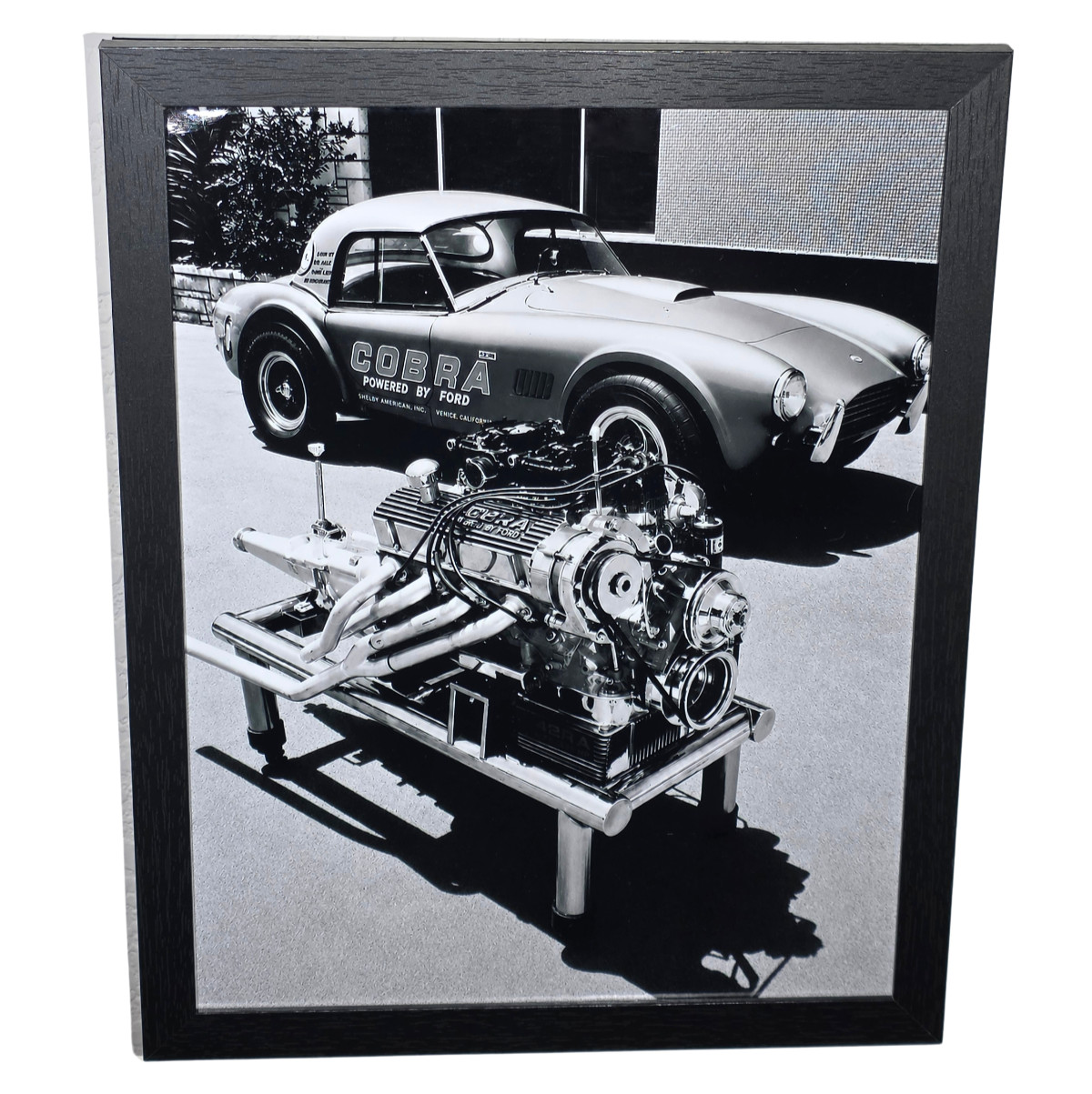 Framed 1965 Shelby American Cobra 289 Dragonsnake - Ready to Display 8.5x11 Framed 1965 Shelby American Cobra 289 Dragonsnake - Ready to Display 8.5x11