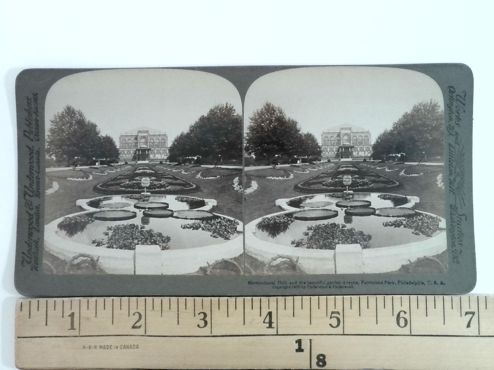 Horticultural Hall Stereoview Underwood & Underwood 1903 Curved Mount