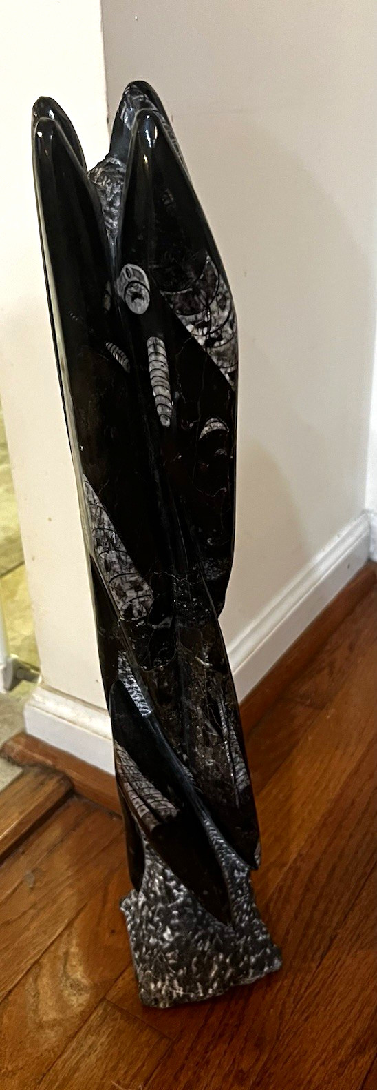 Polished Black Orthoceras Fossil Sculpture Display Specimen 21” tall-15 lbs Polished Black Orthoceras Fossil Sculpture Display Specimen 21” tall-15 lbs