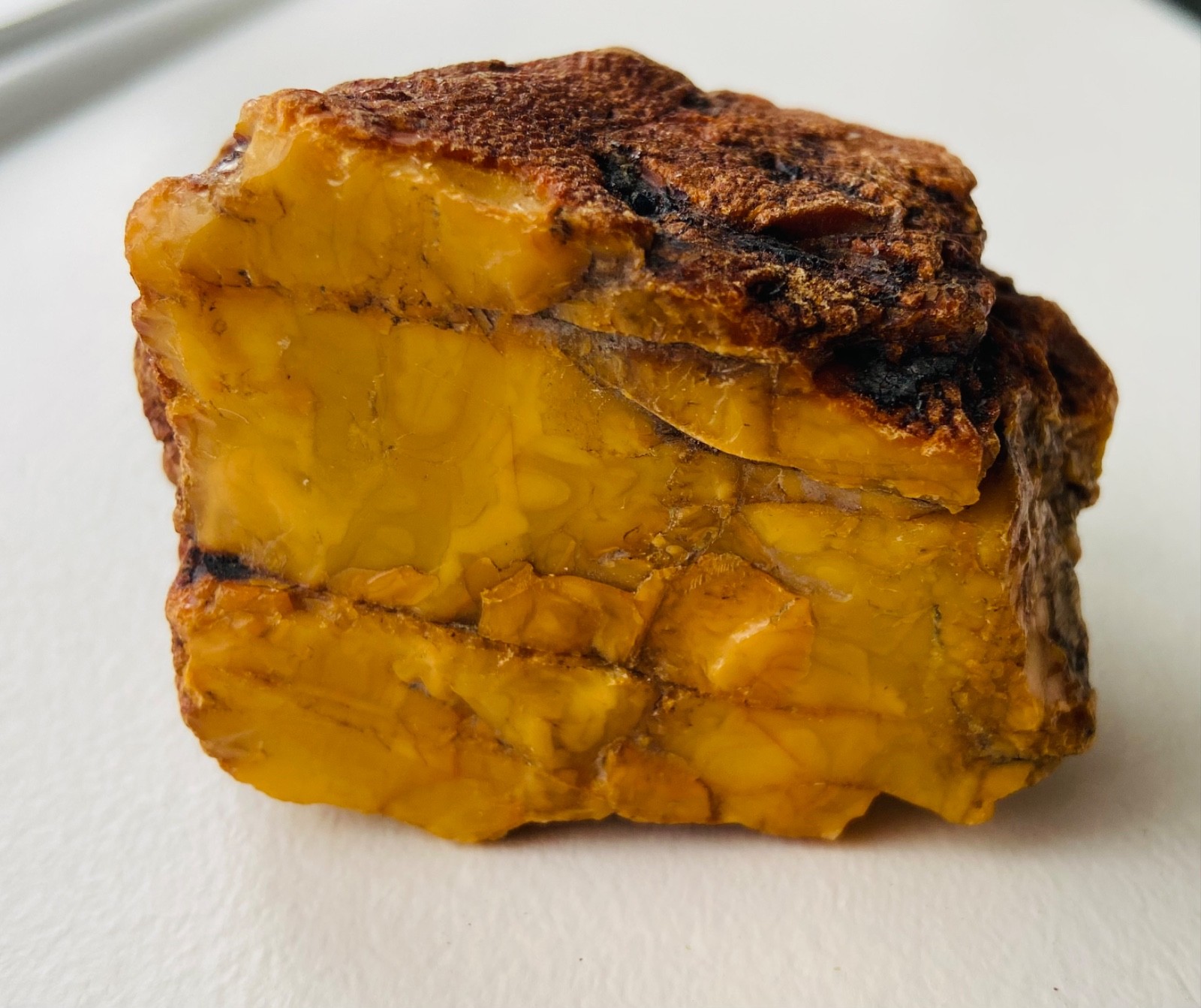 Amazing natural raw Baltic amber rough specimen