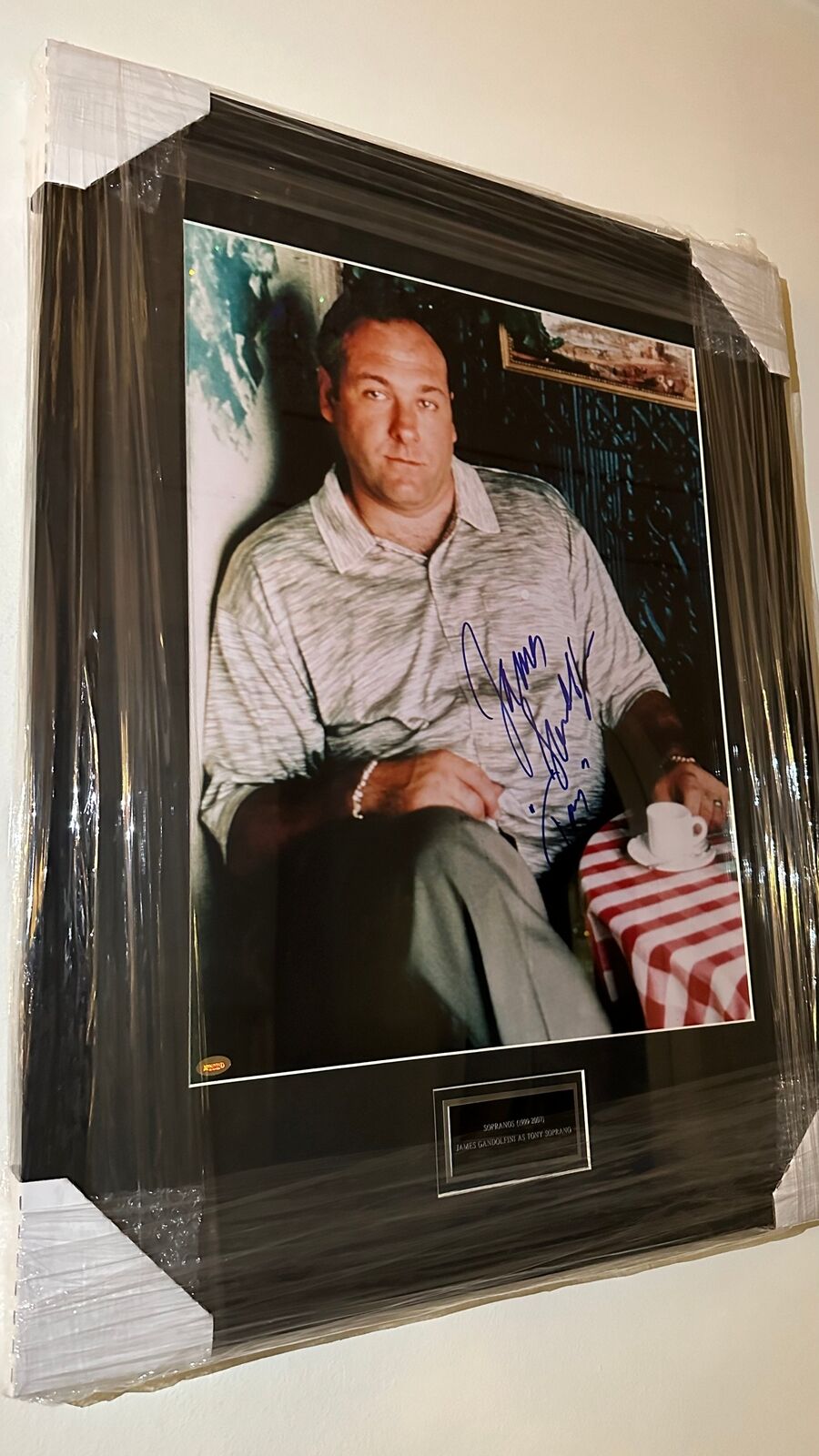 James Gandolfini Autographed Tony Soprano Framed Photo Authenticated by Steiner