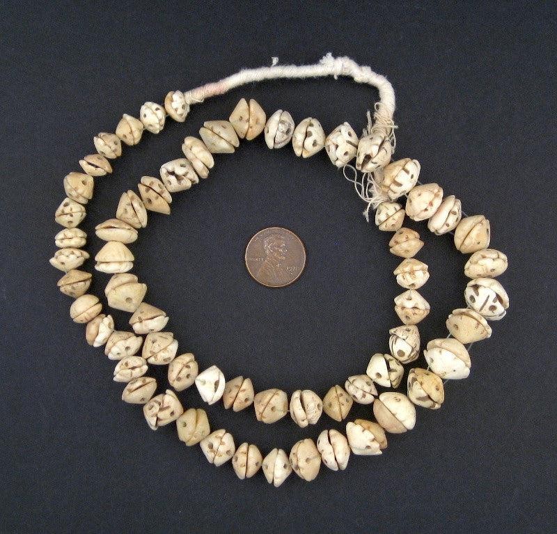 Antique Mauritanian Conus Shell Beads 11mm African White Unusual Handmade Antique Mauritanian Conus Shell Beads 11mm African White Unusual Handmade