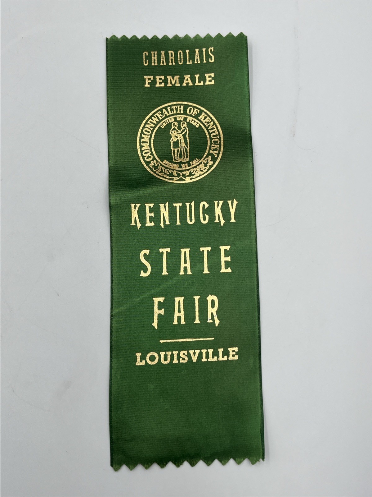 Vintage Kentucky State Fair Louisville Green Ribbon Prize Charolais Female Cow Vintage Kentucky State Fair Louisville Green Ribbon Prize Charolais Female Cow