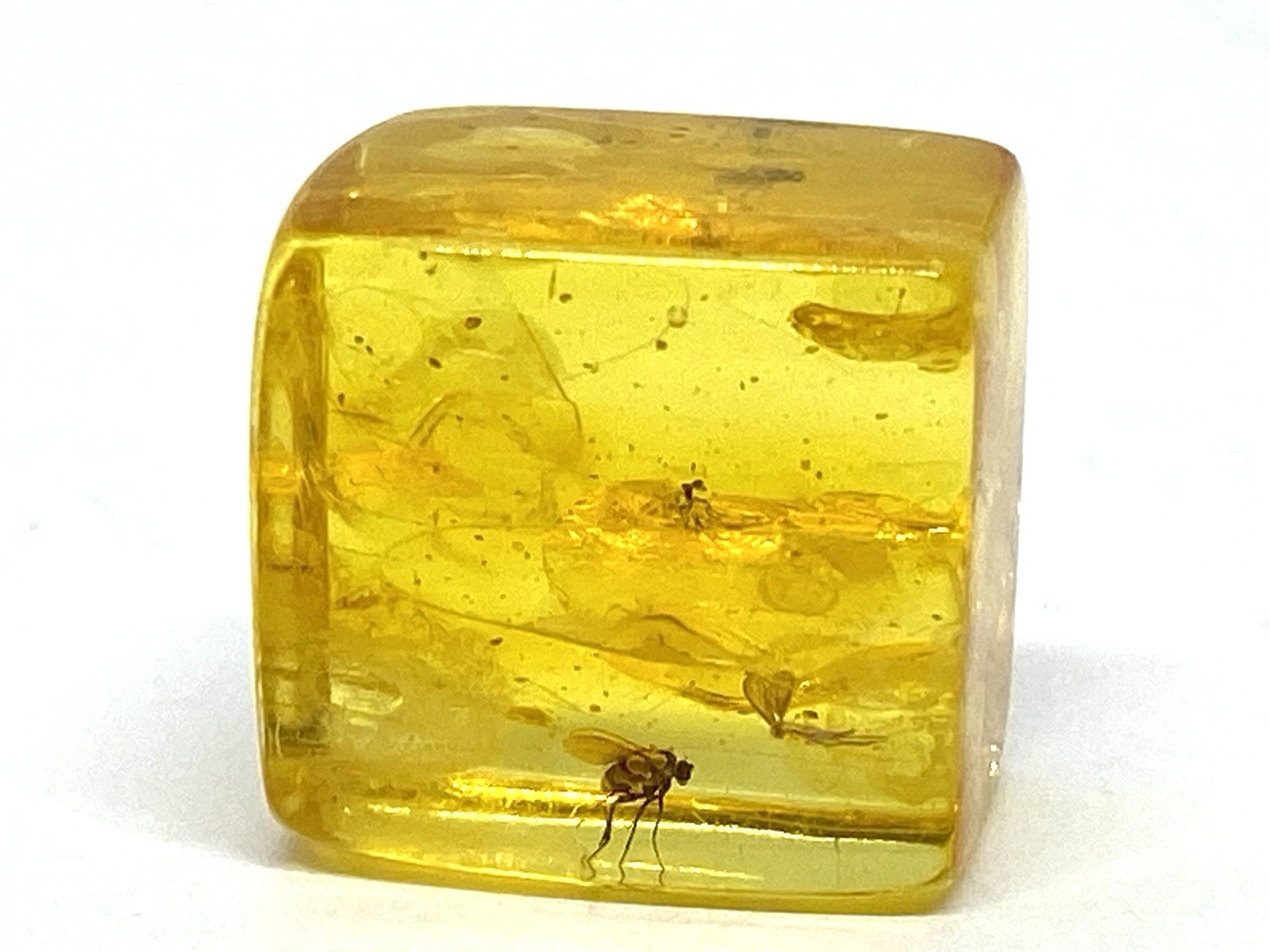 Amber Cube Piece With 3 INSECTS Collectible Baltic Insects Inclusion 4,7g 21562 Amber Cube Piece With 3 INSECTS Collectible Baltic Insects Inclusion 4,7g 21562