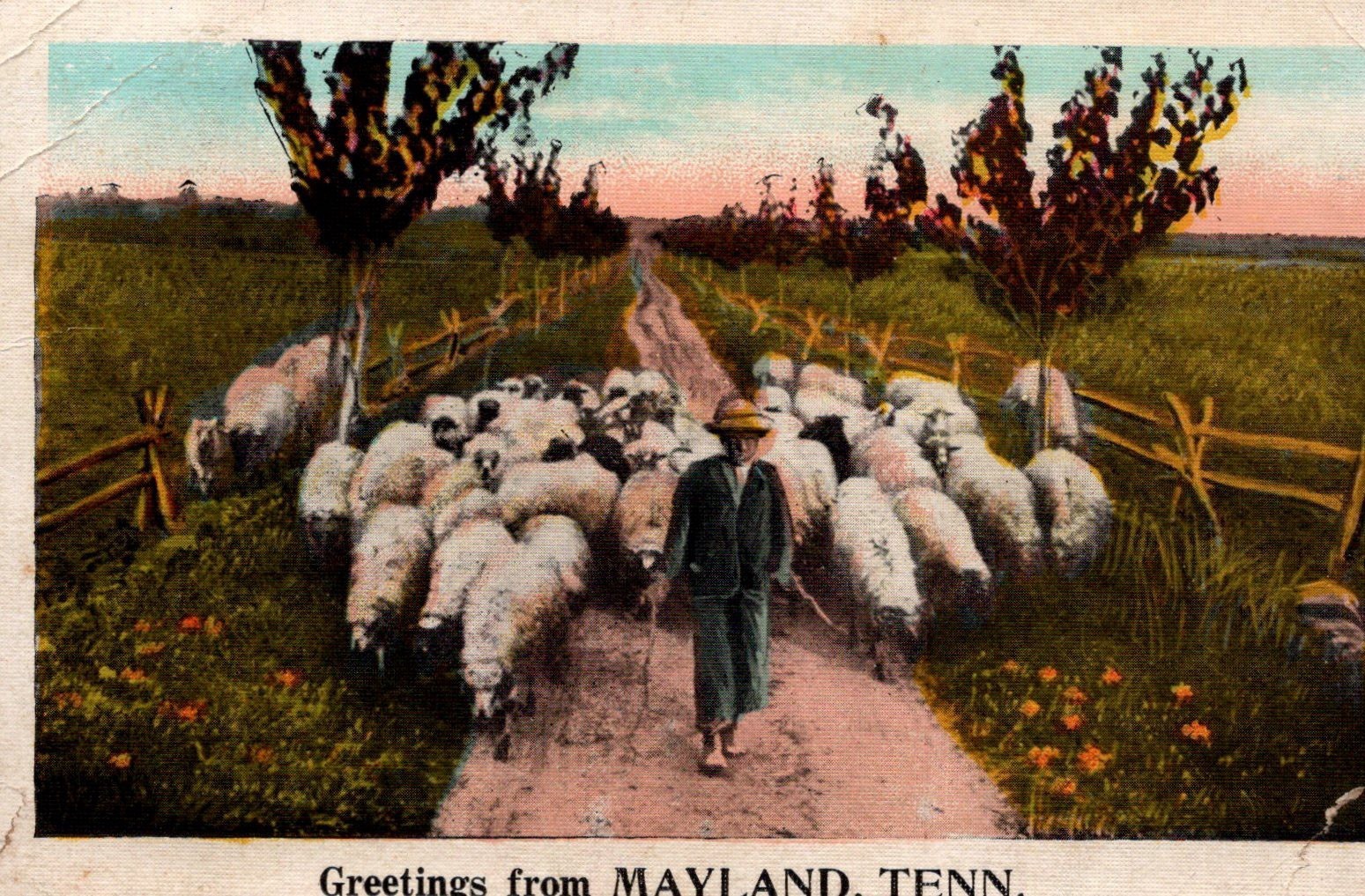 Lot Of 2 Postcards From 1923 MAYLAND, TN Greetings From With Sheep And Cow Lot Of 2 Postcards From 1923 MAYLAND, TN Greetings From With Sheep And Cow