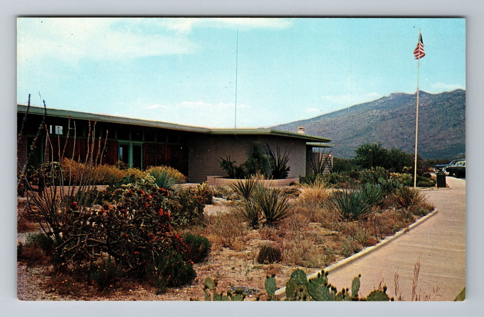 Tucson AZ-Arizona, Saguaro National Monument Visitors Center Vintage Postcard