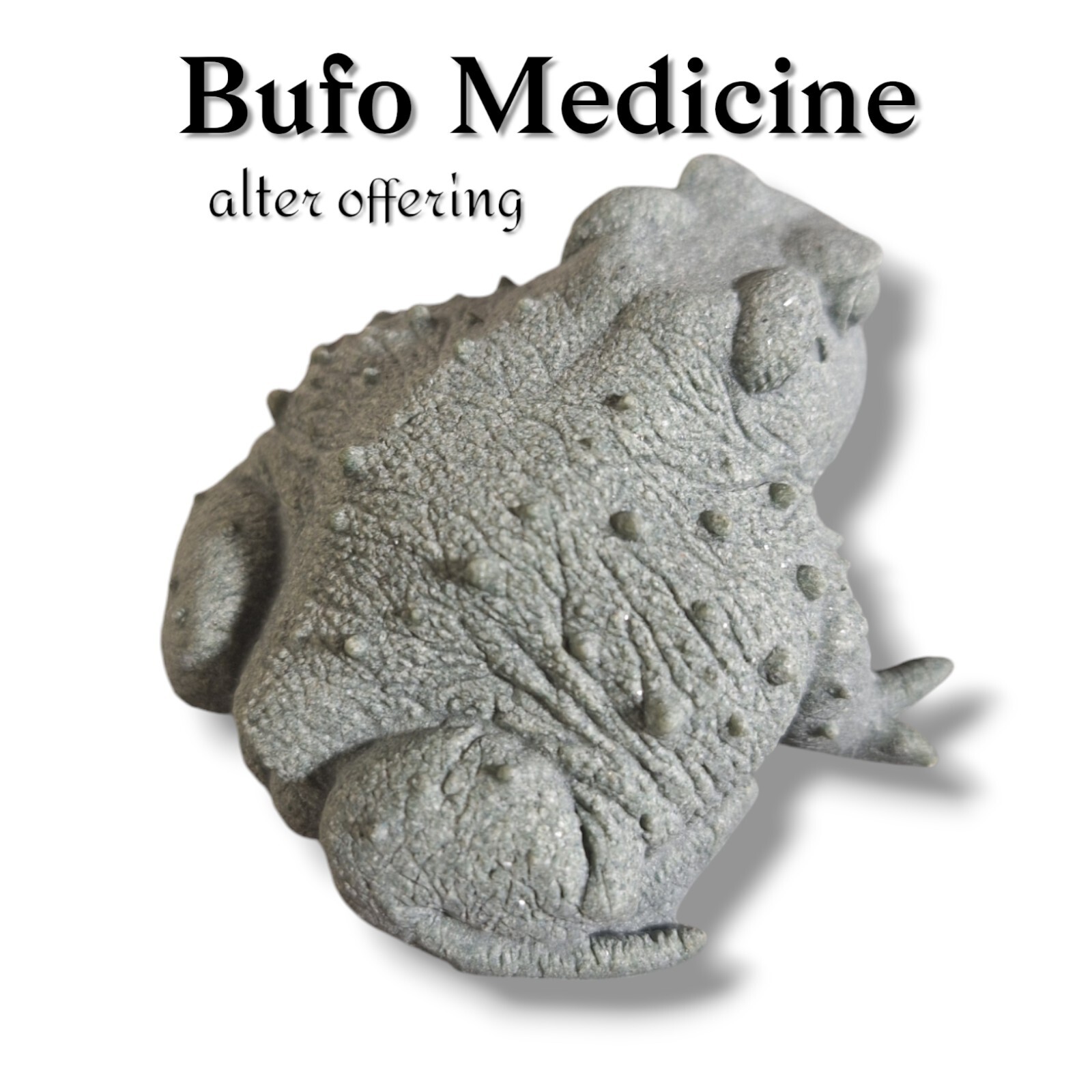 Bufo Medicine Alter Offering Bufo alvarius Figure