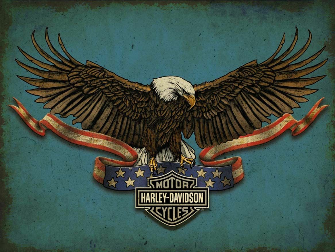 HARLEY DAVIDSON AMERICAN BALD EAGLE 16