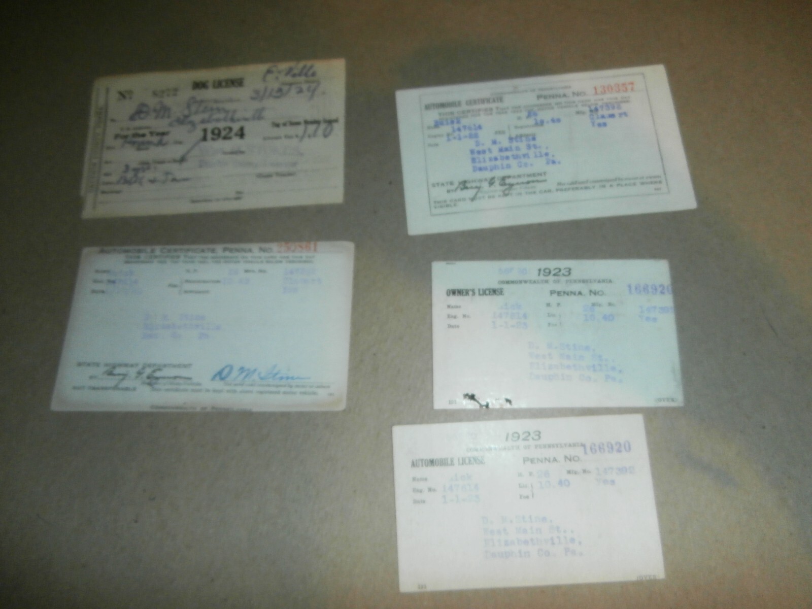1920s Elizabethville PA D M Stine Dog Automobile Owner License Certificate Buick 1920s Elizabethville PA D M Stine Dog Automobile Owner License Certificate Buick