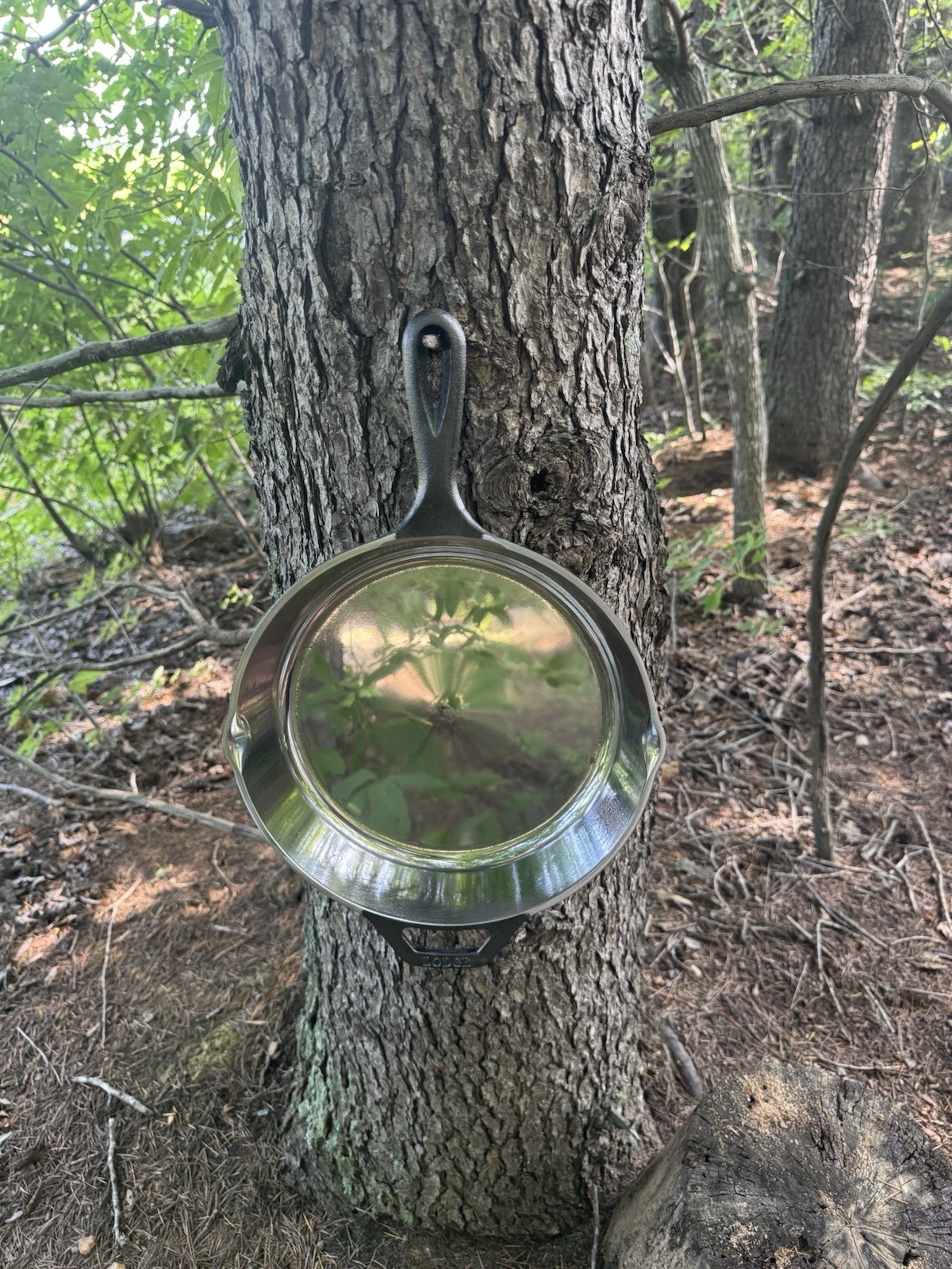 10 Inch Polished Lodge Cast Iron Skillet Frying Pan Made In USA 10 Inch Polished Lodge Cast Iron Skillet Frying Pan Made In USA