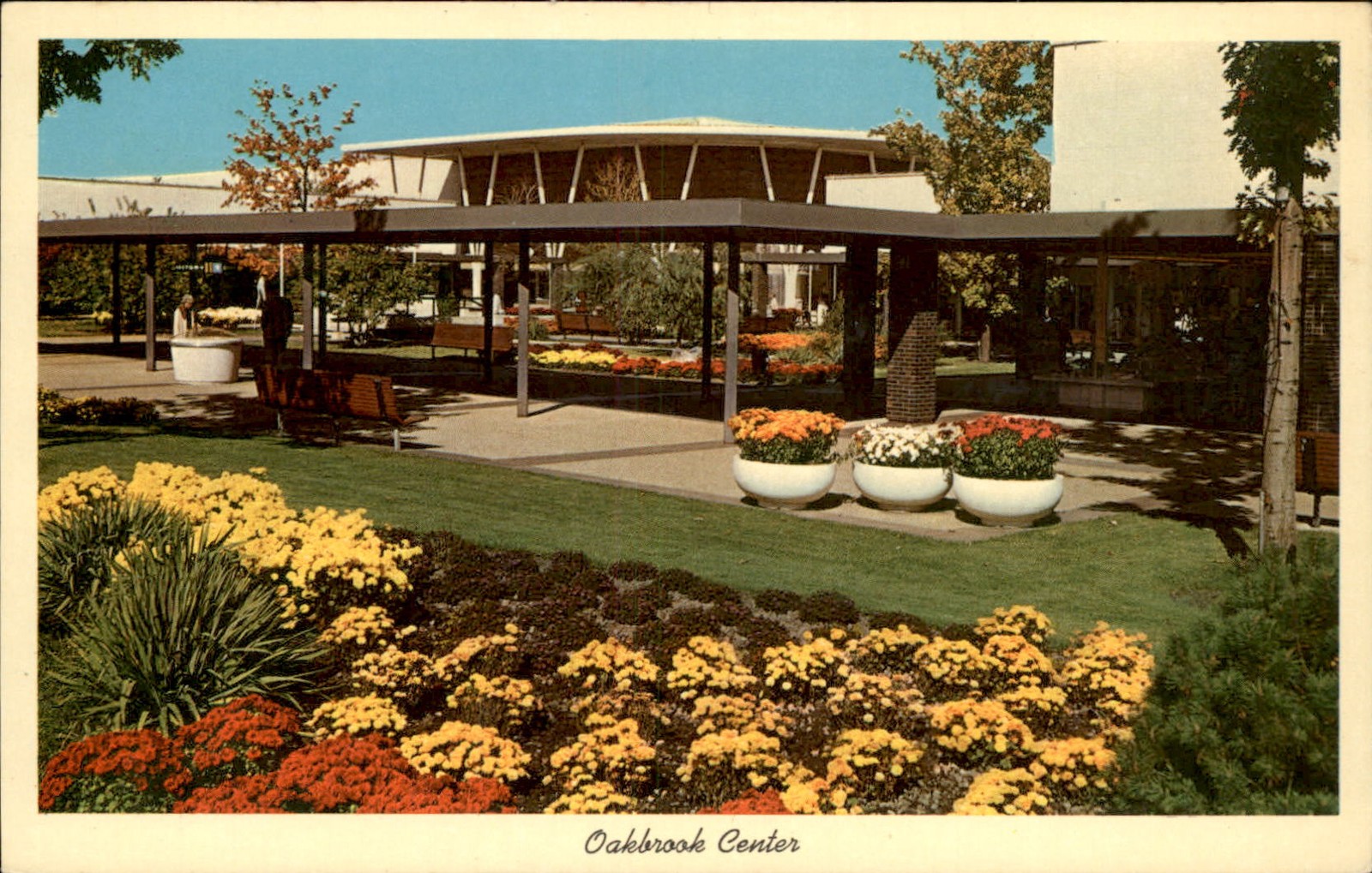 Oak Brook Illinois IL Oakbrook Center Curt Teich c1950s-60s Vintage Postcard Oak Brook Illinois IL Oakbrook Center Curt Teich c1950s-60s Vintage Postcard