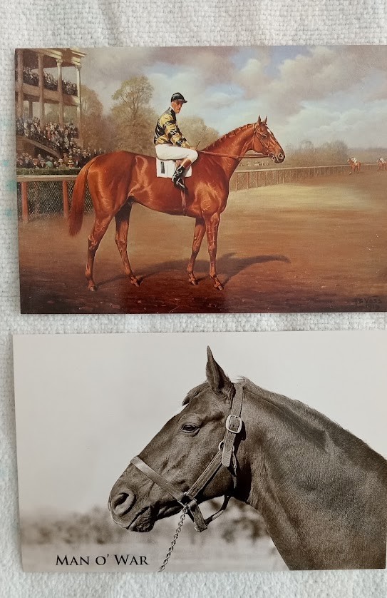 HORSE RACING\'S GREATEST, MAN O\' WAR POSTCARDS - LOT OF 2 - UNUSED HORSE RACING\'S GREATEST, MAN O\' WAR POSTCARDS - LOT OF 2 - UNUSED