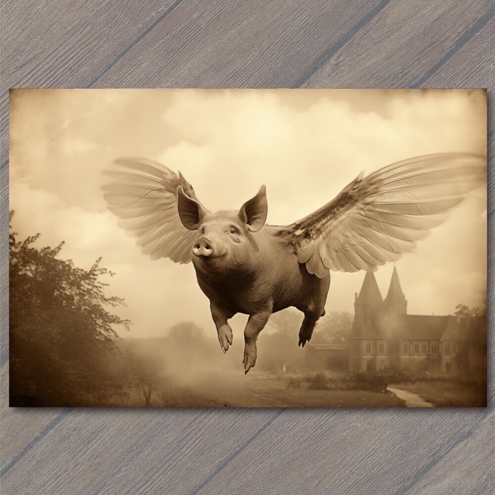 POSTCARD: Surreal Flying Pig with Eerie Vibes, Defying Gravity Unknown 🐷🌀