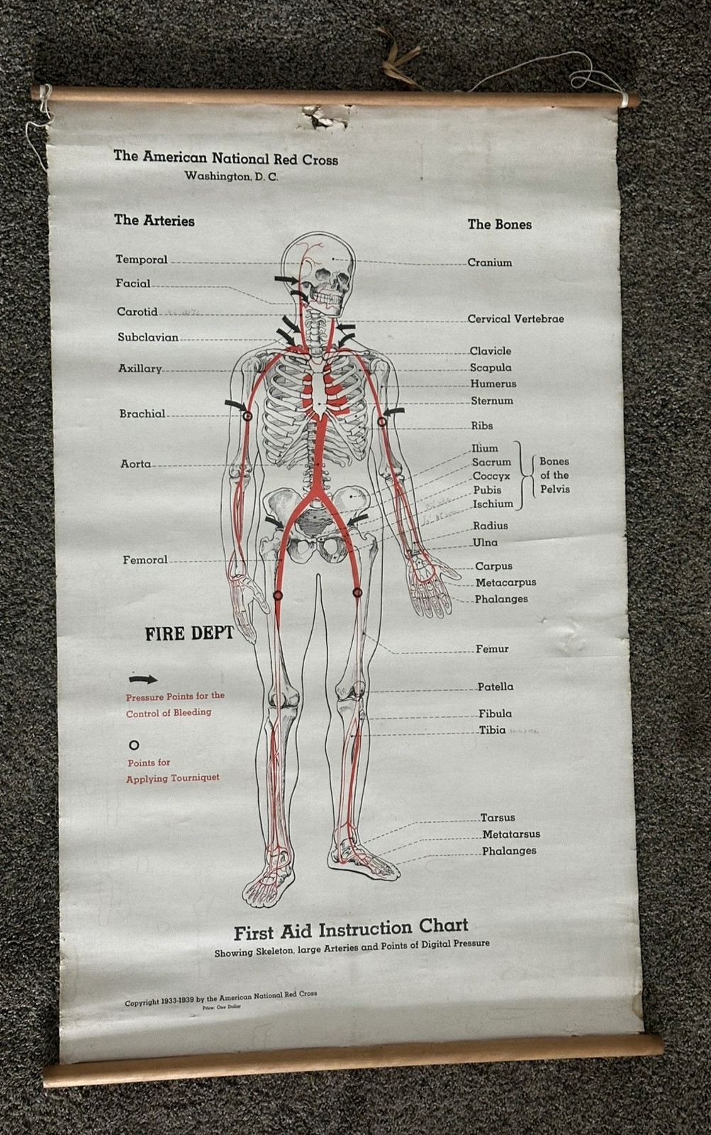 1933 American Red Cross First Aid Instruction Chart Poster 35 by 22 Inches 1933 American Red Cross First Aid Instruction Chart Poster 35 by 22 Inches