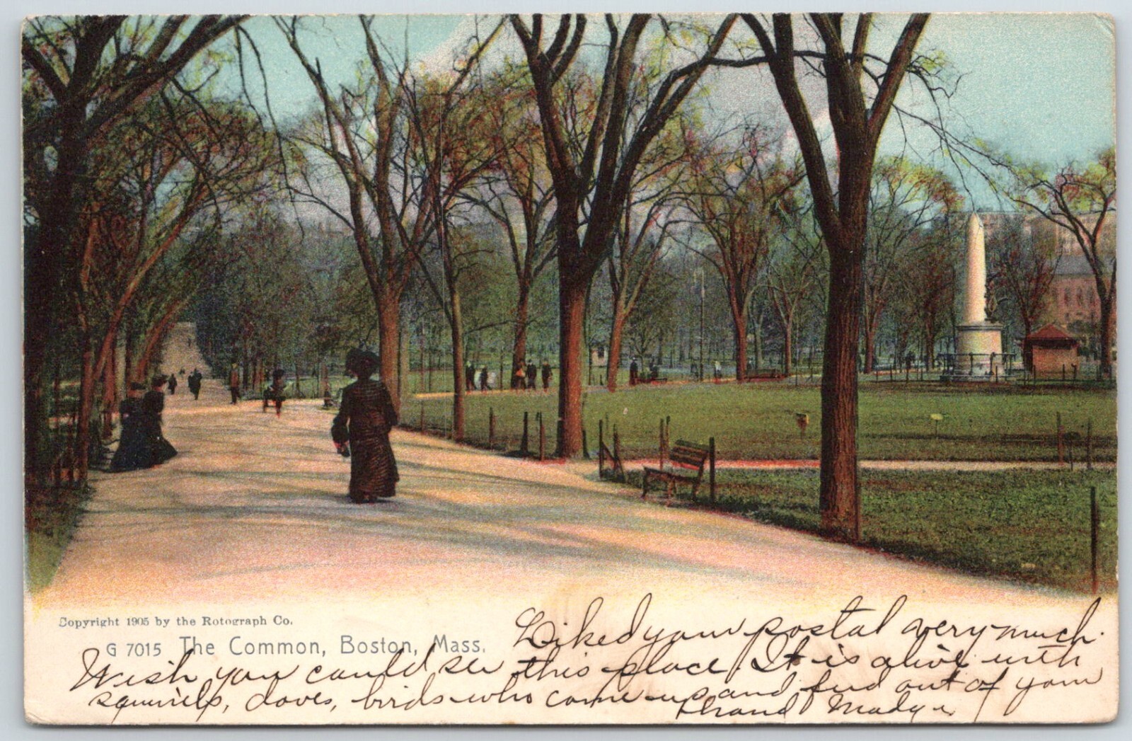 1907 The Common Boston Massachusetts Frank L. Thorne vintage postcard 1907 The Common Boston Massachusetts Frank L. Thorne vintage postcard