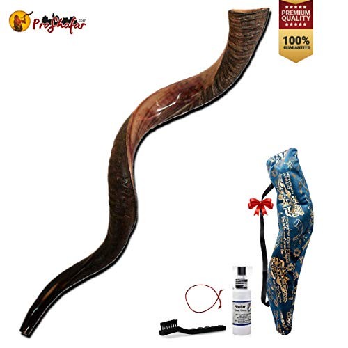 PROSHOFAR Shofar Set, Natural Kudu Horn Shofar - B07ZJLH887