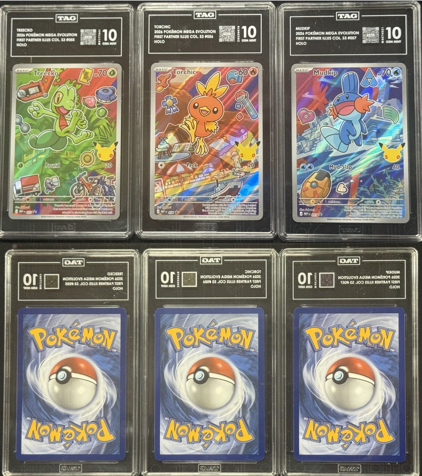 Treecko Torchic Mudkip Pokemon First Partner Series 3 3x Lot All Tag 10 PSA # Treecko Torchic Mudkip Pokemon First Partner Series 3 3x Lot All Tag 10 PSA #