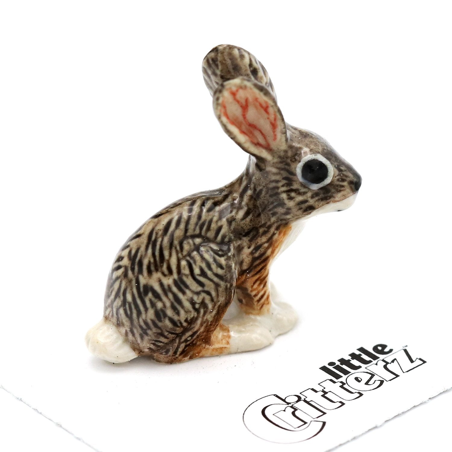 Little Critterz Rabbit - Jackrabbit 