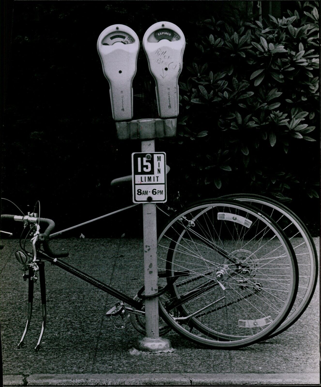 LG843 1981 Orig Bruce McKim Photo ISN'T THIS OVERDOING IT Bicycle Disassembled