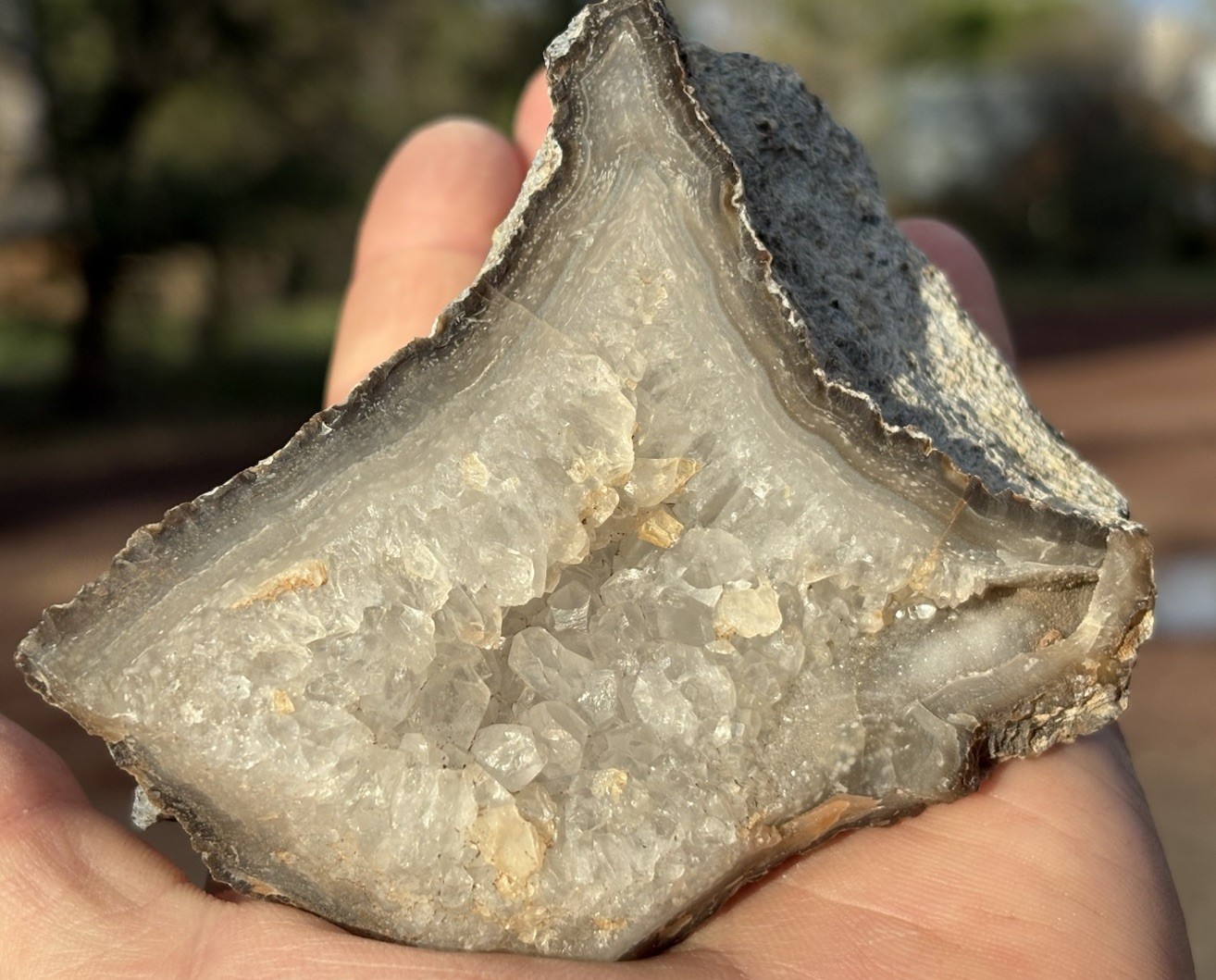 ☘️RR⛏️: Top Quality Luna Blue Agate, Luna New Mexico, 13 Oz.