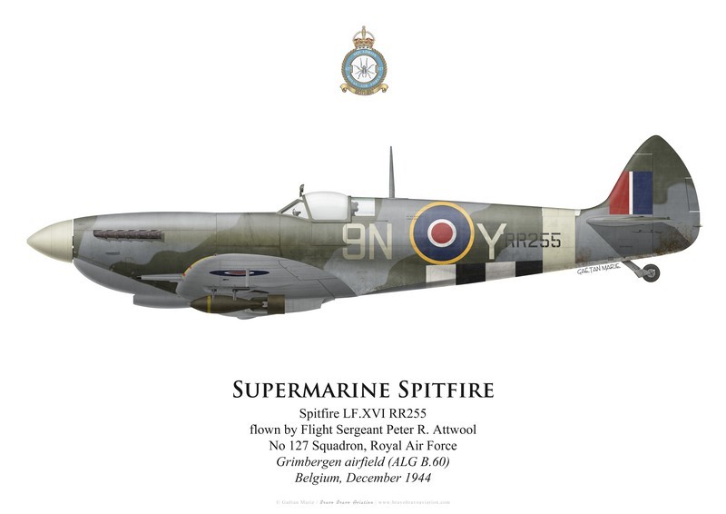 Print Spitfire Mk XVI, F/S P. Attwool, No 127 Squadron RAF, 1944 (by G. Marie)