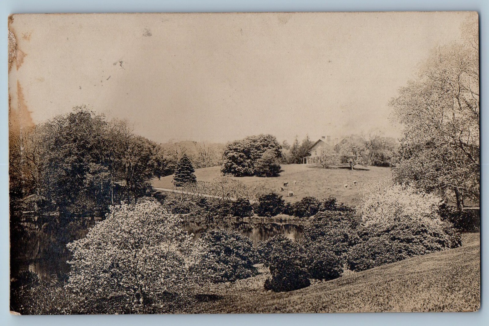 Brookline Massachusetts MA Postcard RPPC Photo Estate View 1909 Antique Posted Brookline Massachusetts MA Postcard RPPC Photo Estate View 1909 Antique Posted