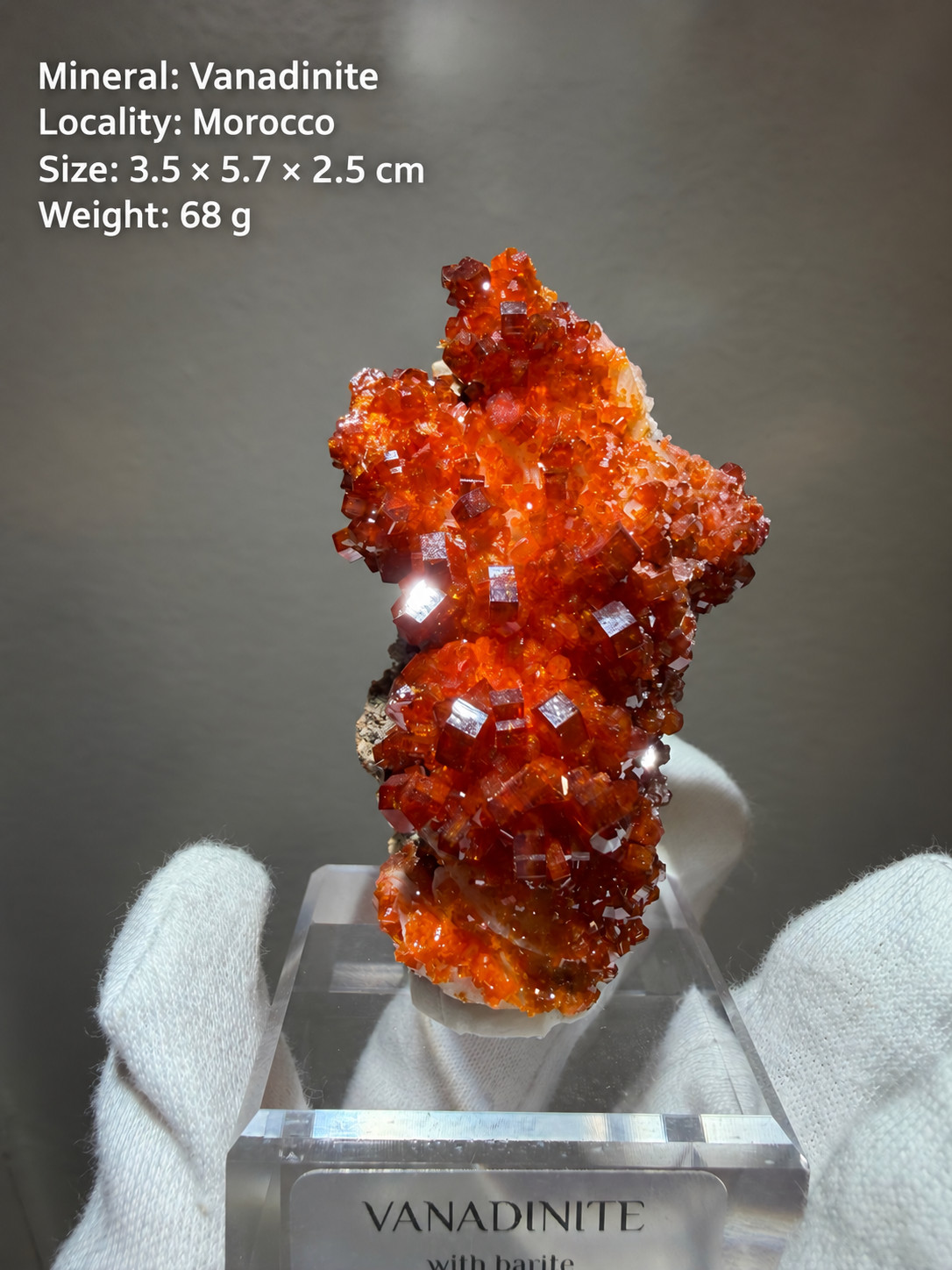 Classic Red Vanadinite Crystal Cluster – Cactus-Like Formation – Morocco – 68g Classic Red Vanadinite Crystal Cluster – Cactus-Like Formation – Morocco – 68g