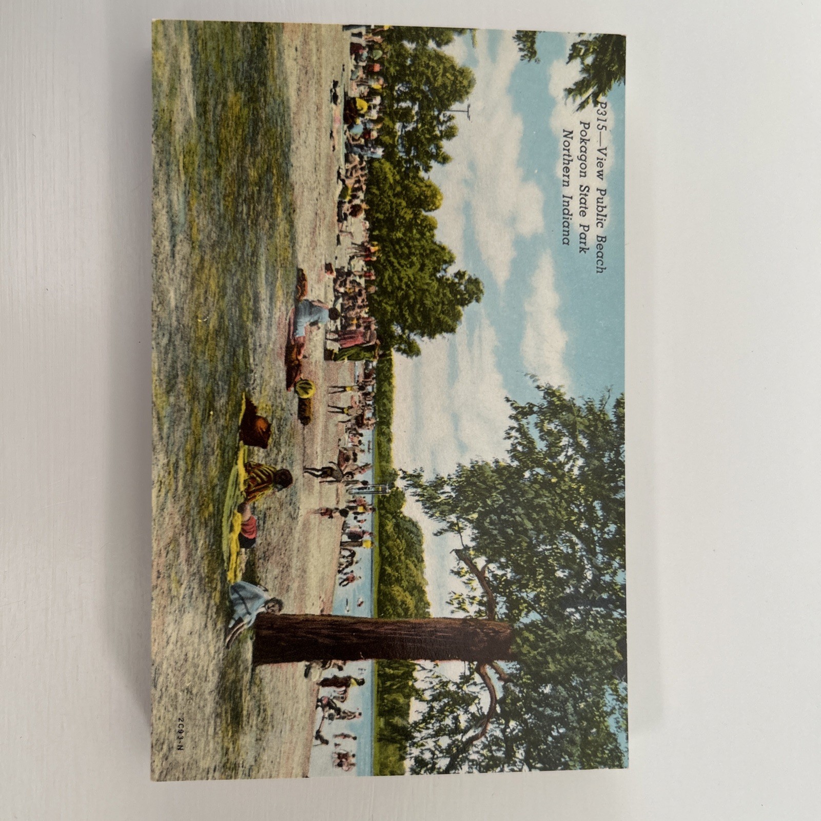 View, Public Beach, Pokagon State Park, Angola, IN - Postcard Unused 28 PCs View, Public Beach, Pokagon State Park, Angola, IN - Postcard Unused 28 PCs