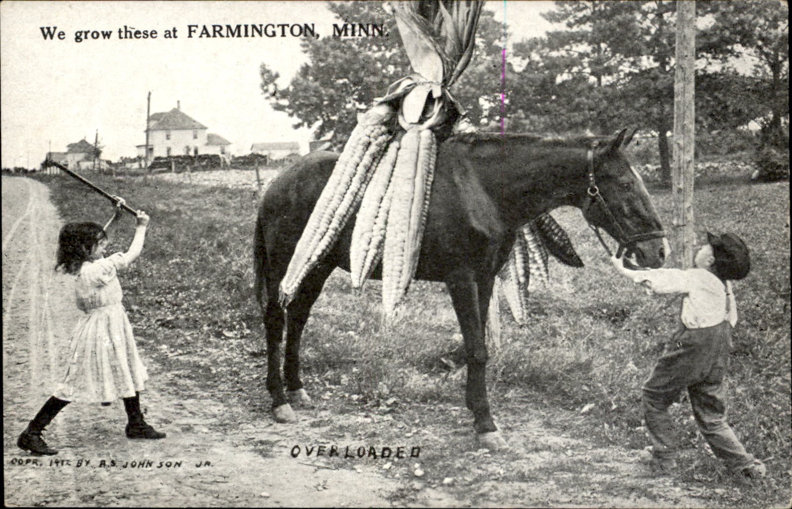 Farmington Minnesota MN Giant Corn & Horse Farming Exaggeration c1910 Postcard Farmington Minnesota MN Giant Corn & Horse Farming Exaggeration c1910 Postcard