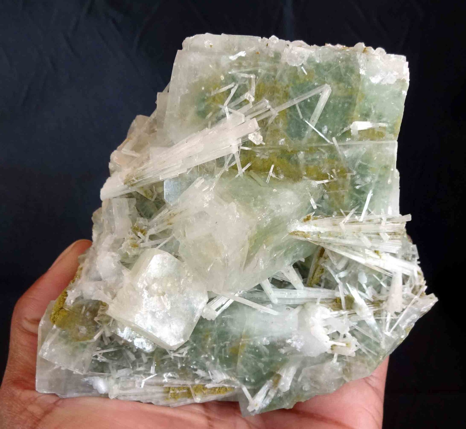 SUPERB SCOLECITE WITH LITE GREEN APOPHYLLITE ON BASE # 596 SUPERB SCOLECITE WITH LITE GREEN APOPHYLLITE ON BASE # 596