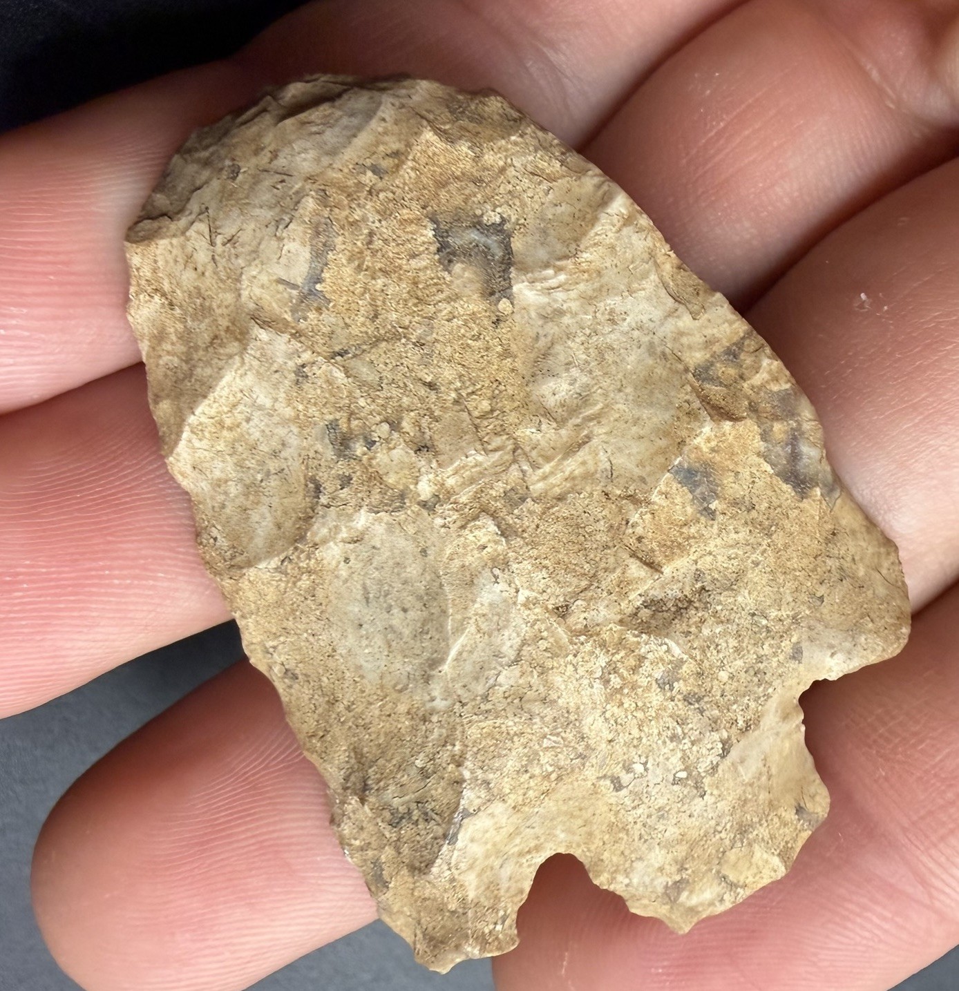 ARCHAIC STEMMED PROJECTILE POINT / ARTIFACT TOOL CENTRAL FLORIDA AUTHENTIC 2.04” ARCHAIC STEMMED PROJECTILE POINT / ARTIFACT TOOL CENTRAL FLORIDA AUTHENTIC 2.04”