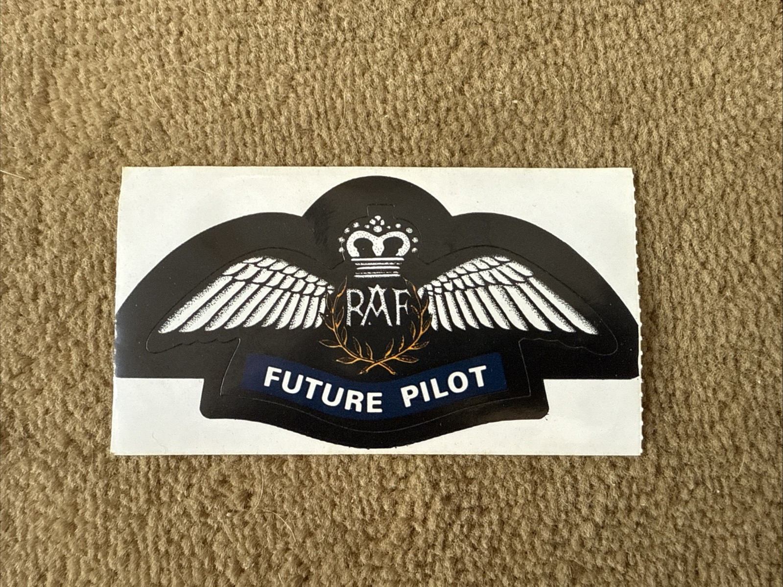 Vintage RAF Royal Air Force Future Pilot sticker 2..5x4.25 inches early 1990s Vintage RAF Royal Air Force Future Pilot sticker 2..5x4.25 inches early 1990s