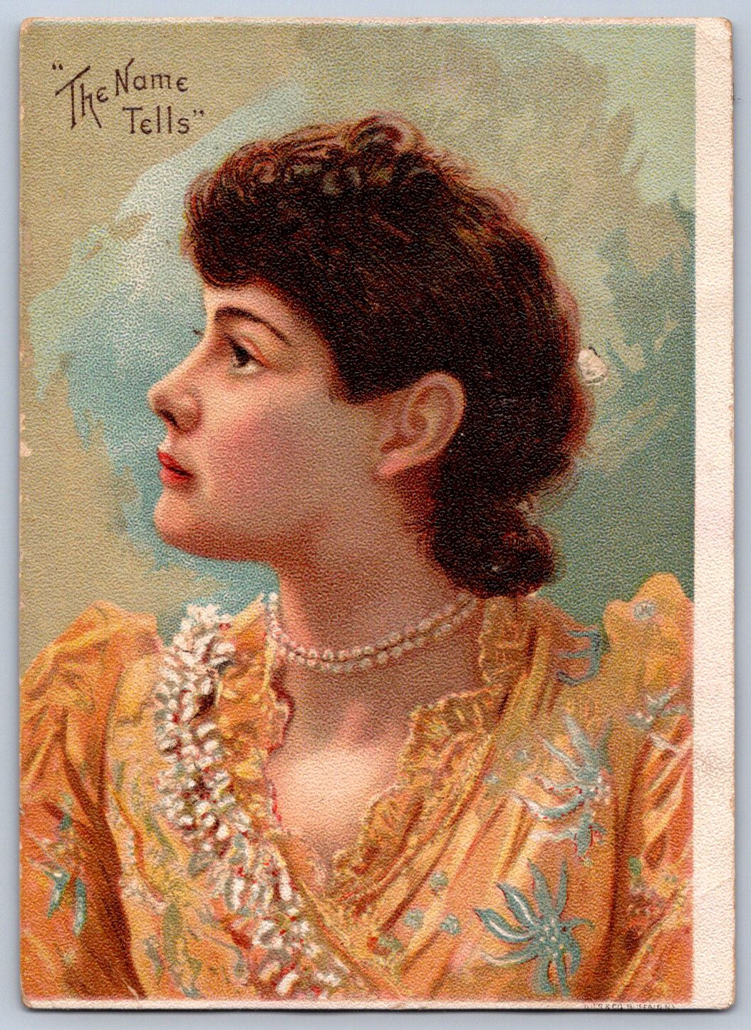 K21/ Victorian Trade Card c1890 Mechanicsville Iowa Heston Store 385 K21/ Victorian Trade Card c1890 Mechanicsville Iowa Heston Store 385
