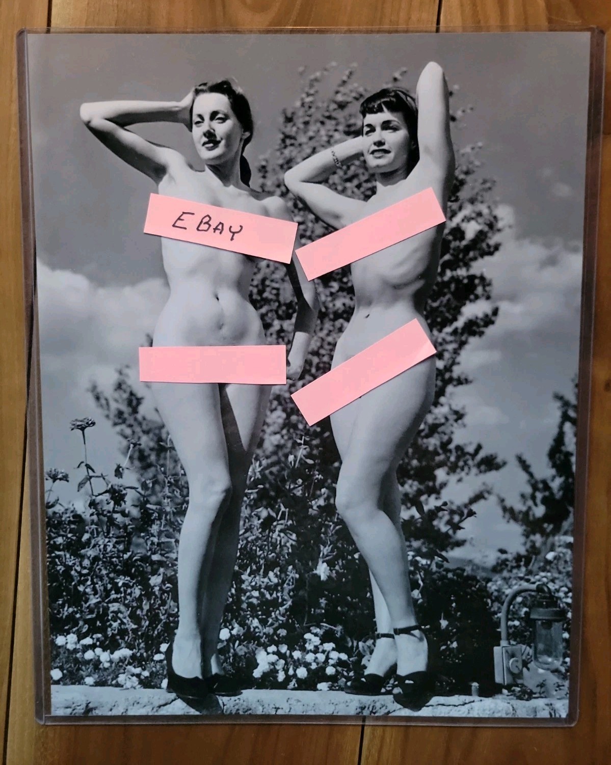 Bettie Page & Dolores Del Monte 1954 Posing Pinup's 11 X 14 Photograph Bettie Page & Dolores Del Monte 1954 Posing Pinup's 11 X 14 Photograph