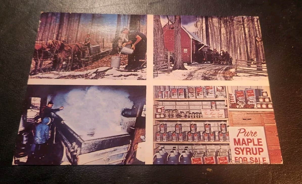 VTG Martins Pure Maple Syrup Photo Postcard Waterloo Ontario Canada