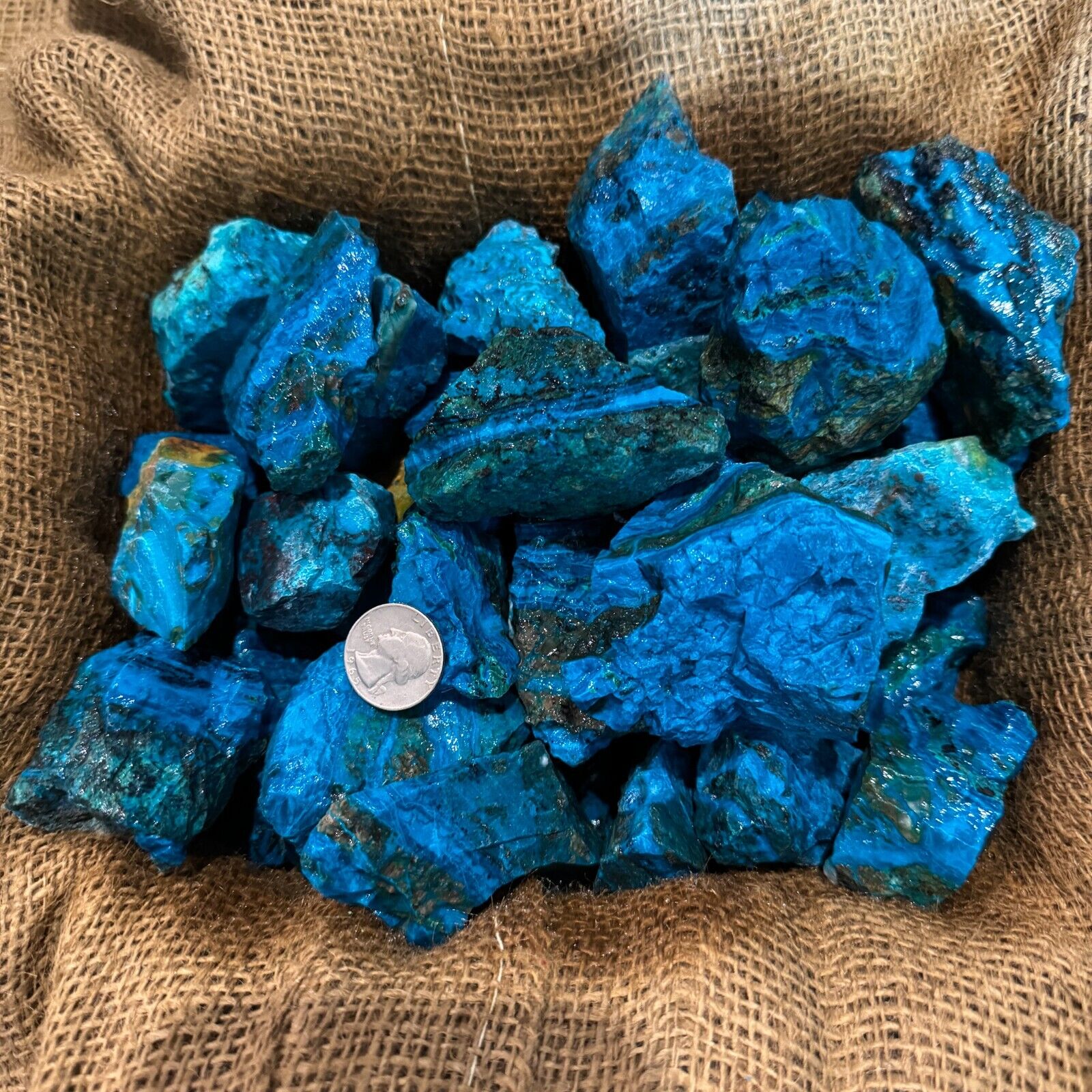 1000 Carat Lots of Blue Opalina Rough + a FREE faceted Gemstone *VERY RARE*
