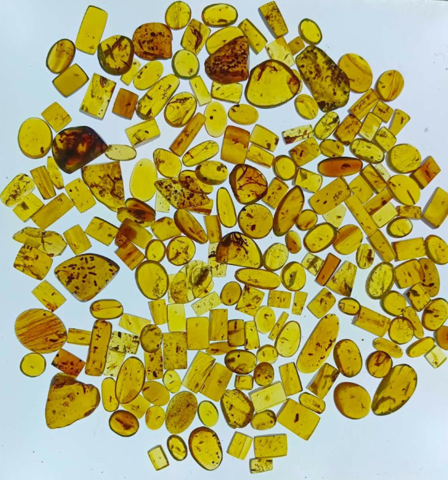 Random set of Burmite inclusion amber for collectors [20 pieces]