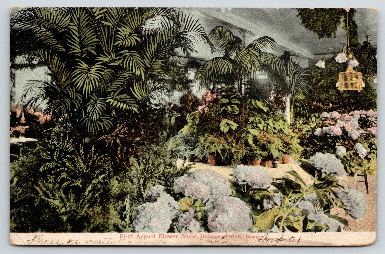 Independence Iowa~First Annual Flower Show~Munson Building Interior~August 1907