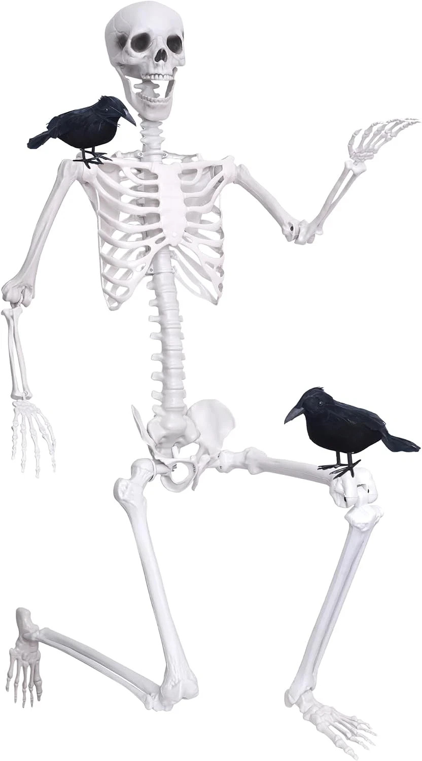 Wocst 6Ft Life Size Skeleton Posable Skeleton with Movable Joints Halloween Full Wocst 6Ft Life Size Skeleton Posable Skeleton with Movable Joints Halloween Full