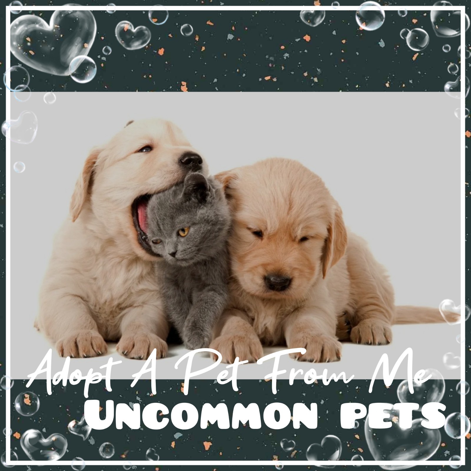 ๐ธ Aฤ0PT (All Stuff FRM M3) Today ๐ธ ๐Uncommon๐ FR ๐ F ๐ R ๐ฉต NP ๐ ๐ธ Aฤ0PT (All Stuff FRM M3) Today ๐ธ ๐Uncommon๐ FR ๐ F ๐ R ๐ฉต NP ๐