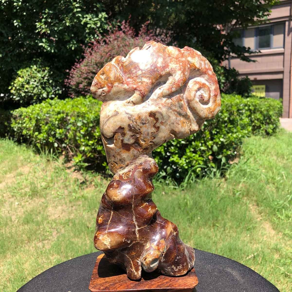 3.98LB TOP Natural Beautiful ammonite fossil conch Crystal specimen heals 1413